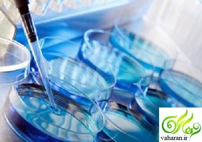 جزییات پلمب بیمارستان معروف تهران به خاطر تخمک فروشی یک دختر مجرد جزییات پلمب بیمارستان معروف تهران به خاطر تخمک فروشی یک دختر مجرد