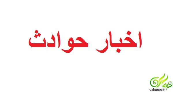 جزییات پیدا شدن دو سر بریده در خیابان شیخ بهایی تهران مرداد 96 جزییات پیدا شدن دو سر بریده در خیابان شیخ بهایی تهران مرداد 96
