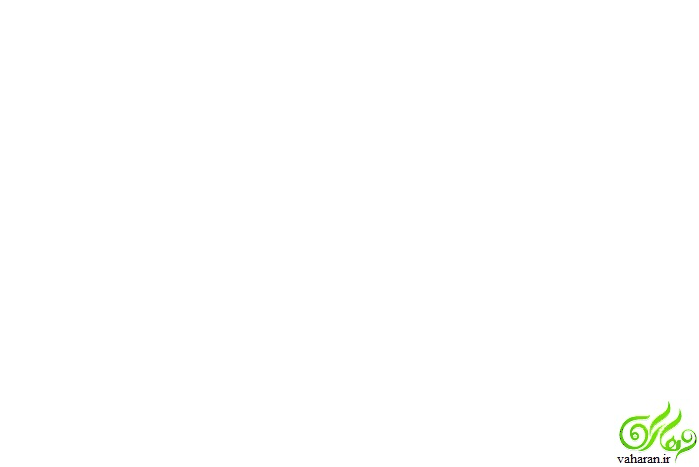 بیوگرافی کامل شهرزاد مدیری دختر مهران مدیری + عکس بیوگرافی کامل شهرزاد مدیری دختر مهران مدیری + عکس