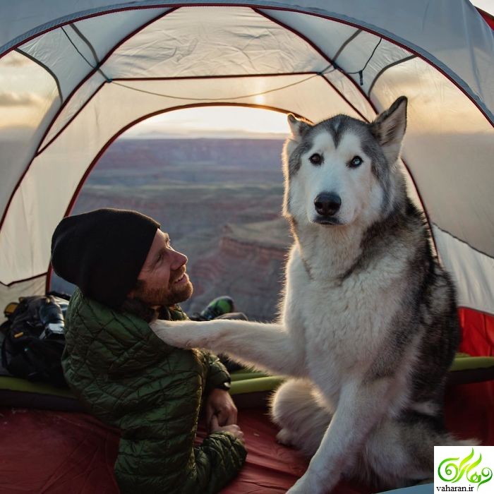 عکسهای زیبا برای پروفایل / حتما ببینید