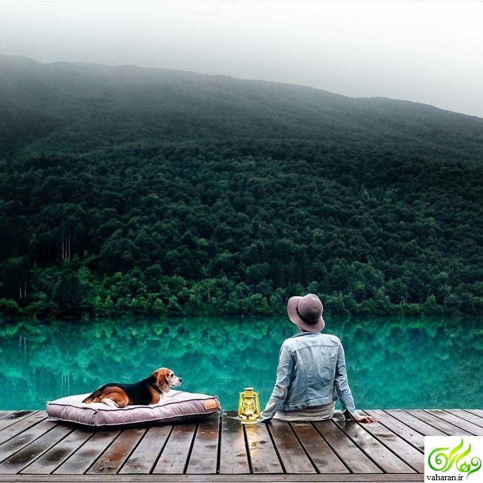 عکسهای زیبا برای پروفایل / حتما ببینید