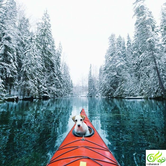 عکسهای زیبا برای پروفایل / حتما ببینید