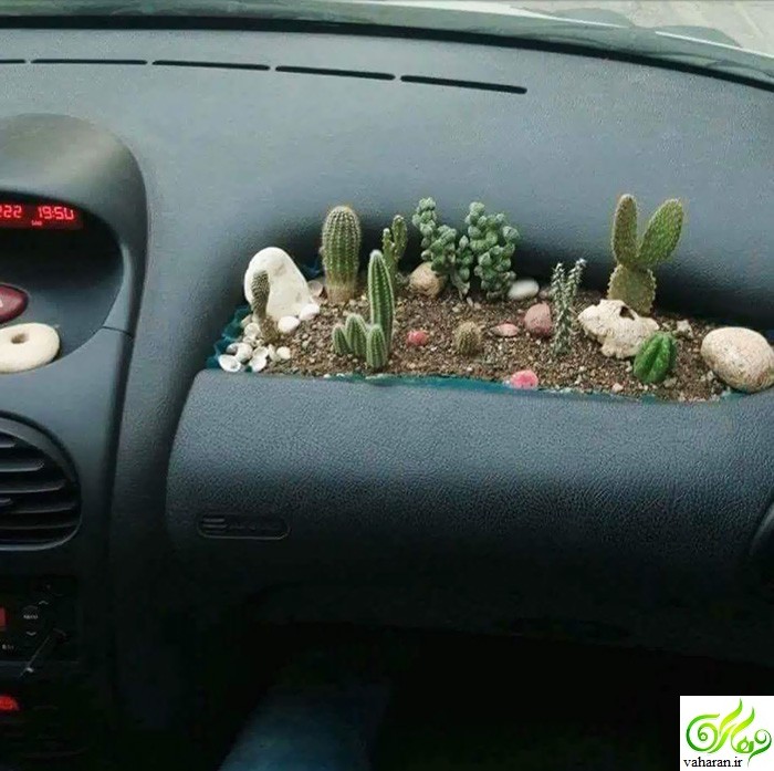 عکسهایی دیدنی از خلاقیت در تزیین خودرو