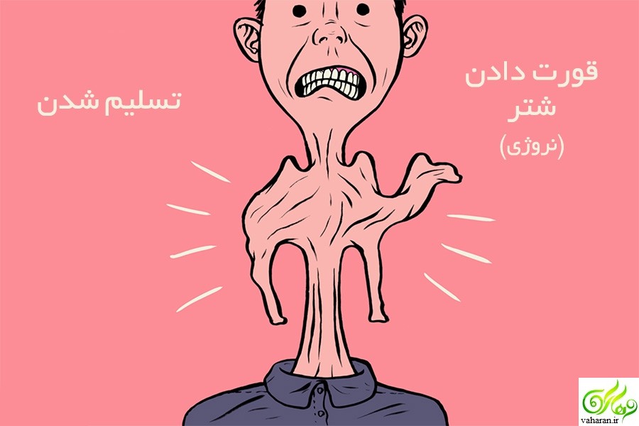 10 ضرب المثل معروف بین المللی که شاید شما نشنیده باشید + عکس و معنی 10 ضرب المثل معروف بین المللی که شاید شما نشنیده باشید + عکس و معنی