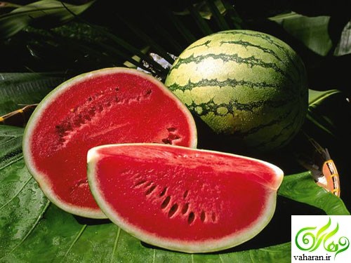 روش های جالب و آسان برای تشخیص هندوانه شیرین و آبدار روش های جالب و آسان برای تشخیص هندوانه شیرین و آبدار