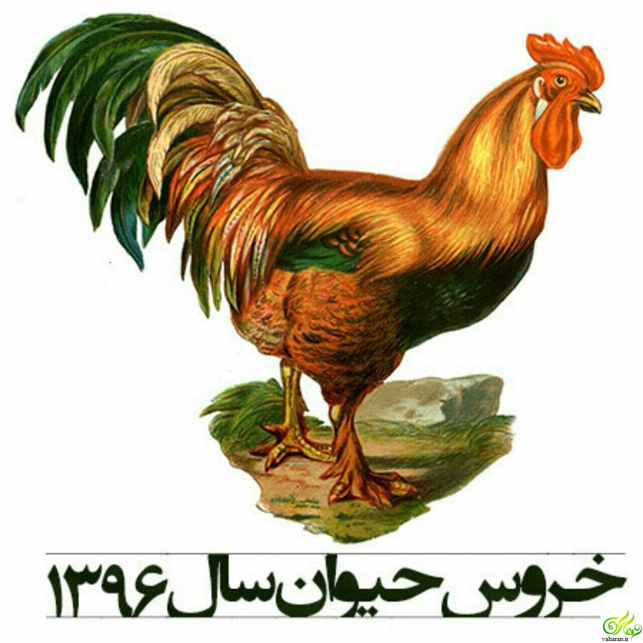 اتفاقات سال 1396 / اتفاقات سال خروس