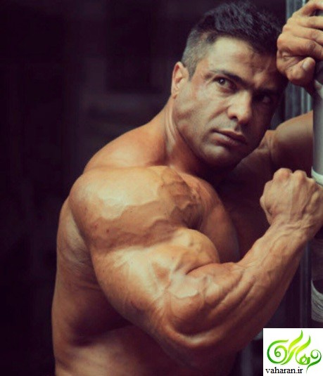 هدیه دختر بیت الله عباسپور به هیئت بدنسازی + فیلم و عکس هدیه دختر بیت الله عباسپور به هیئت بدنسازی + فیلم و عکس