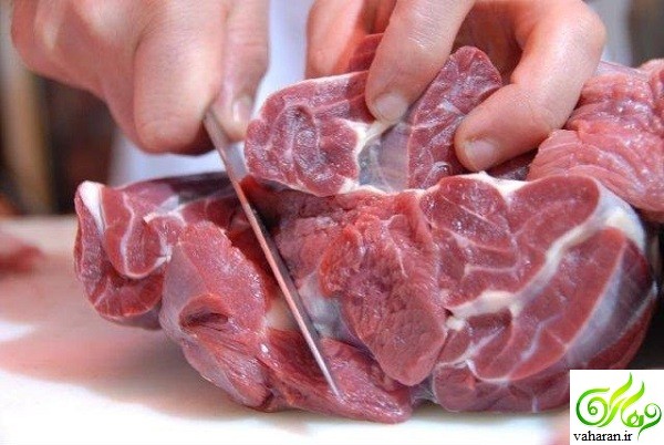 علائم تب کریمه کنگو +راه درمان و روشهای پیشگیری علائم تب کریمه کنگو +راه درمان و روشهای پیشگیری