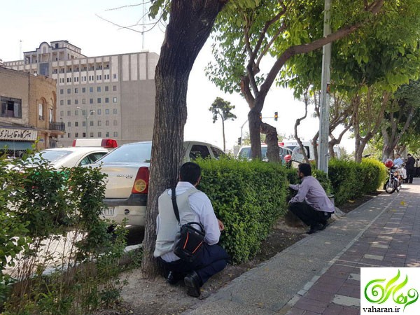 جزییات خبر تیراندازی در مجلس خرداد 96