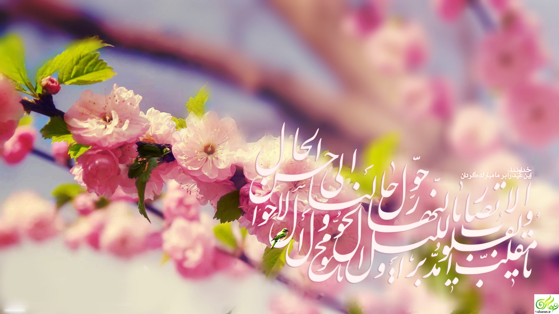 متن برای تبریک عید نوروز | متن تبریک رسمی، عاشقانه، انگلیسی، خنده دار